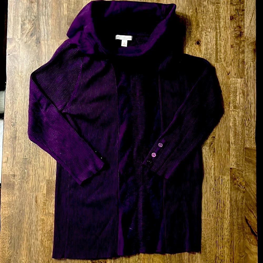 Dress Barn sweater